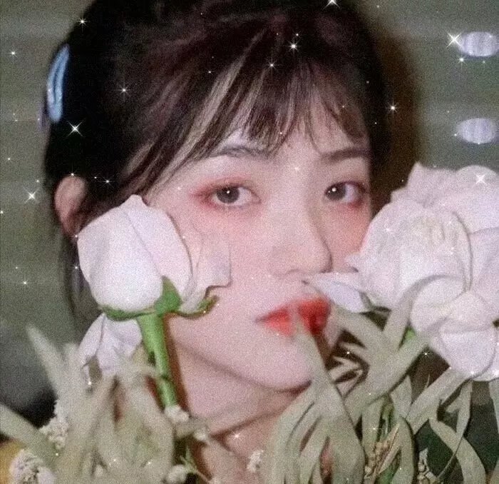 赤月湖吸血鬼